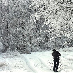 ���������, ����������, 44 ����