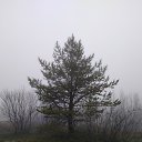 ���� �������, ������������, 67 ��� - ��������� 2 ������� 2025 � ������ ������ ��������