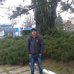 ����, �������, 36 ���