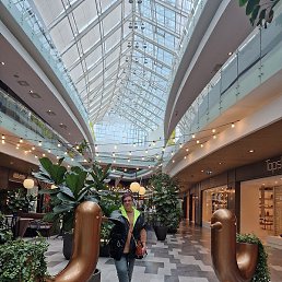 �������, �������, 55 ���