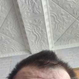 ���, ������, 56 ���