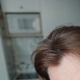 , , 41 