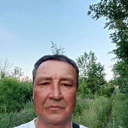 , 52, 