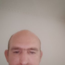 �����, 42 ����, ���������