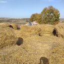 ���� Andrey, ������, 45 ��� - ��������� 29 �������� 2024 � ������ ���� ����������