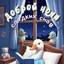 ���� ������, �������� - ��������� 2 ������� 2026 � ������ ������ ��������