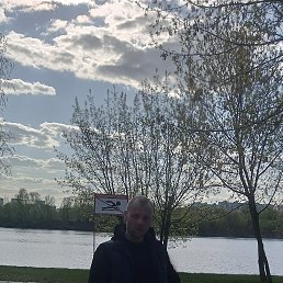 ���������, 41 ���, �����������