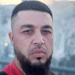 ������, ������, 36 ���