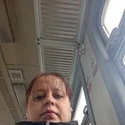 �������, 38 ���, ����