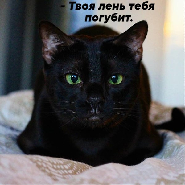       - 25  2025  11:20