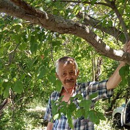 ������, 64 ����, �������