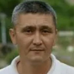 �����, ������