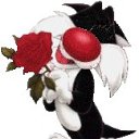 ���� ����, ������, 57 ��� - ��������� 8 ������ 2026