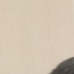 ������, �������, 38 ���