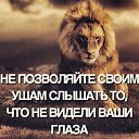 ���� ����, ��������-��-������, 50 ��� - ��������� 19 ������� 2025