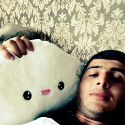 , 24, 