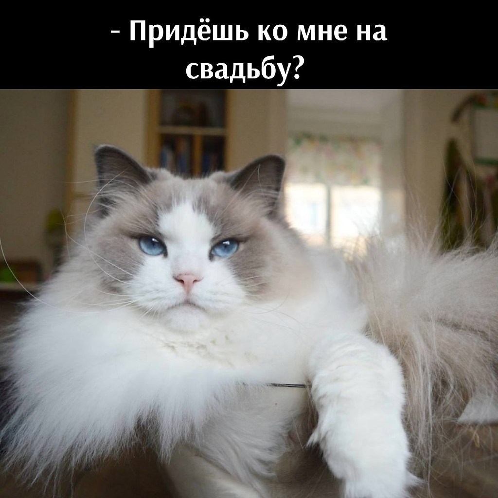  )