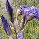 ���� ��������, ���������, 57 ��� - ��������� 9 ������� 2025