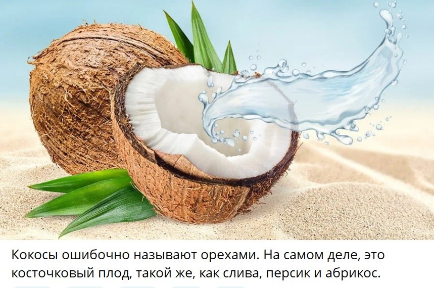 ��� ���� - 10 ����� 2026 � 20:13