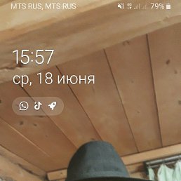 , 37, 