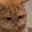 ���� ���������, �������, 51 ��� - ��������� 13 ����� 2024 � ������ ���� ����������