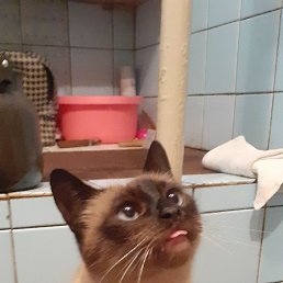 ���� ����, ������, 57 ��� - ��������� 2 ���� 2025