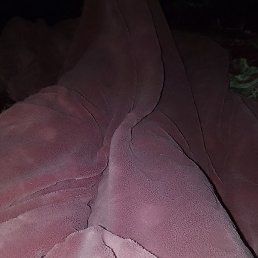 �����, ������, 26 ���