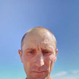 , 41, 
