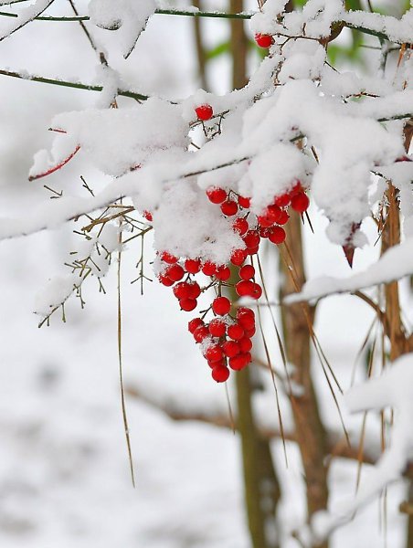   ...    .  .   .      ...