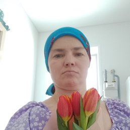 �������, 37 ���, �������