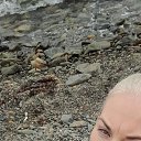 ���� �����, ������-��-����, 43 ���� - ��������� 14 ������ 2026 � ������ ���� ����������