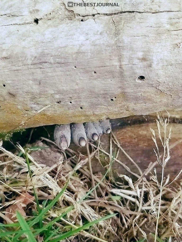 � ��������� ����� ������ ���� ���� ���������. ��� ����� ������� ����� � �� ����� ����������� ������ ...