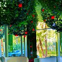 ����� 2025 �� ������� ���� ����������