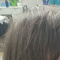 �������, ���������, 48 ���