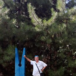 ���� �����, ������-�������� �������, 50 ��� - ��������� 7 ������� 2026