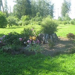 ��������, �����-���������, 60 ���