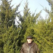 ���������, 67 ���, ������