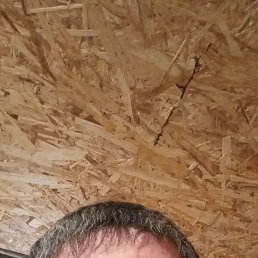 , 41, 