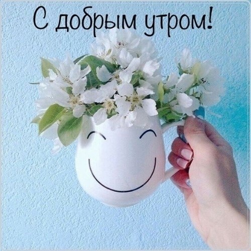 Утро. Солнце. Чашка кофе. Хочешь, вместо молока, По небес пройдя дороге, Я добавлю облака... Я ...