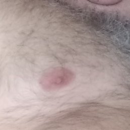 ������, ������, 44 ����