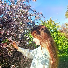 ������, 40 ���, ��������