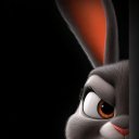 ���� ��������, ������, 35 ��� - ��������� 14 ������ 2025 � ������ ���� ����������