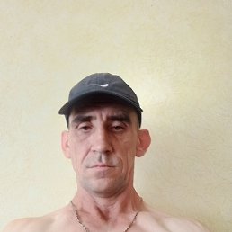 , 46 , 