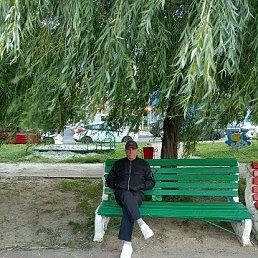 ���� ����, �����, 58 ��� - ��������� 20 ����� 2026