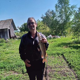 ���, ����, 52 ����