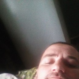 , 33 , 