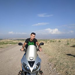 �����, �����, 36 ���