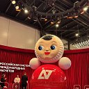 ���� ��������, �����, 50 ��� - ��������� 15 ���� 2026 � ������ ���� ����������