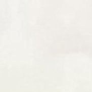 �����, 43 ����, �������