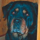 ���� ���������, ������, 63 ���� - ��������� 26 ������� 2023 � ������ ���� ����������